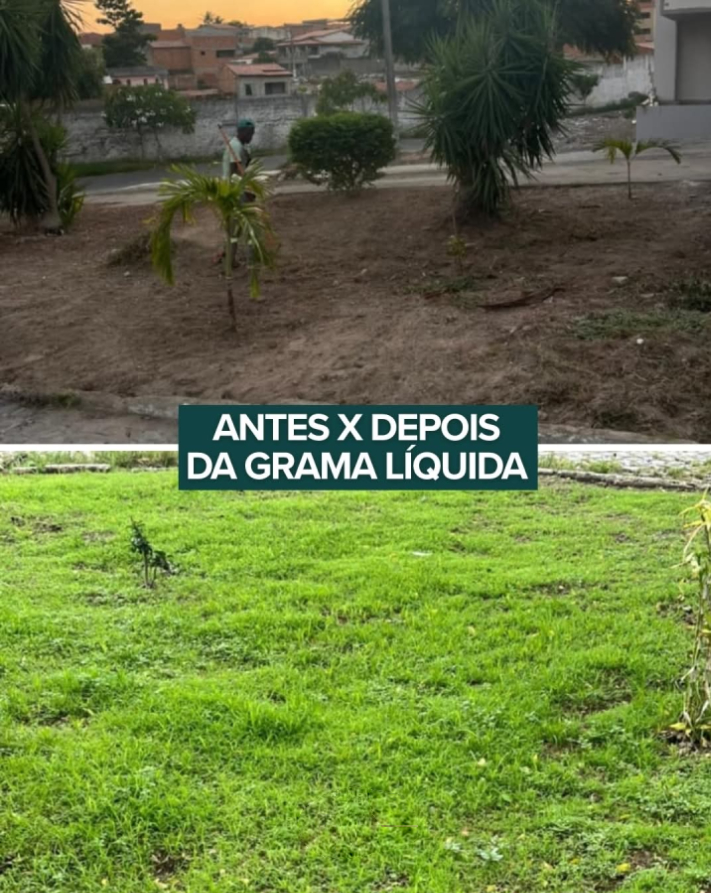 foto (2)
